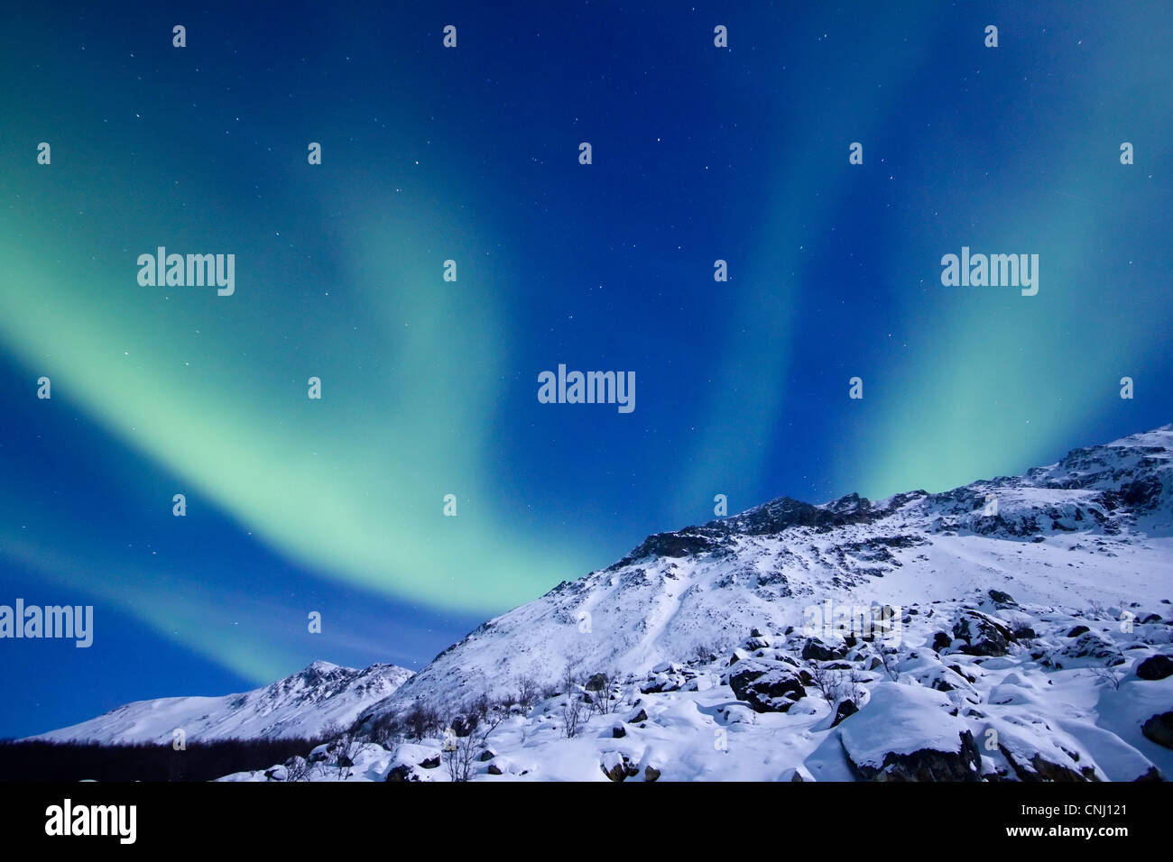 Aurora borealis oder Nordlicht, das über Nacht Himmel innerhalb des Polarkreises Tromso Troms Kvaløya Region Norwegen 2012 Stockfoto