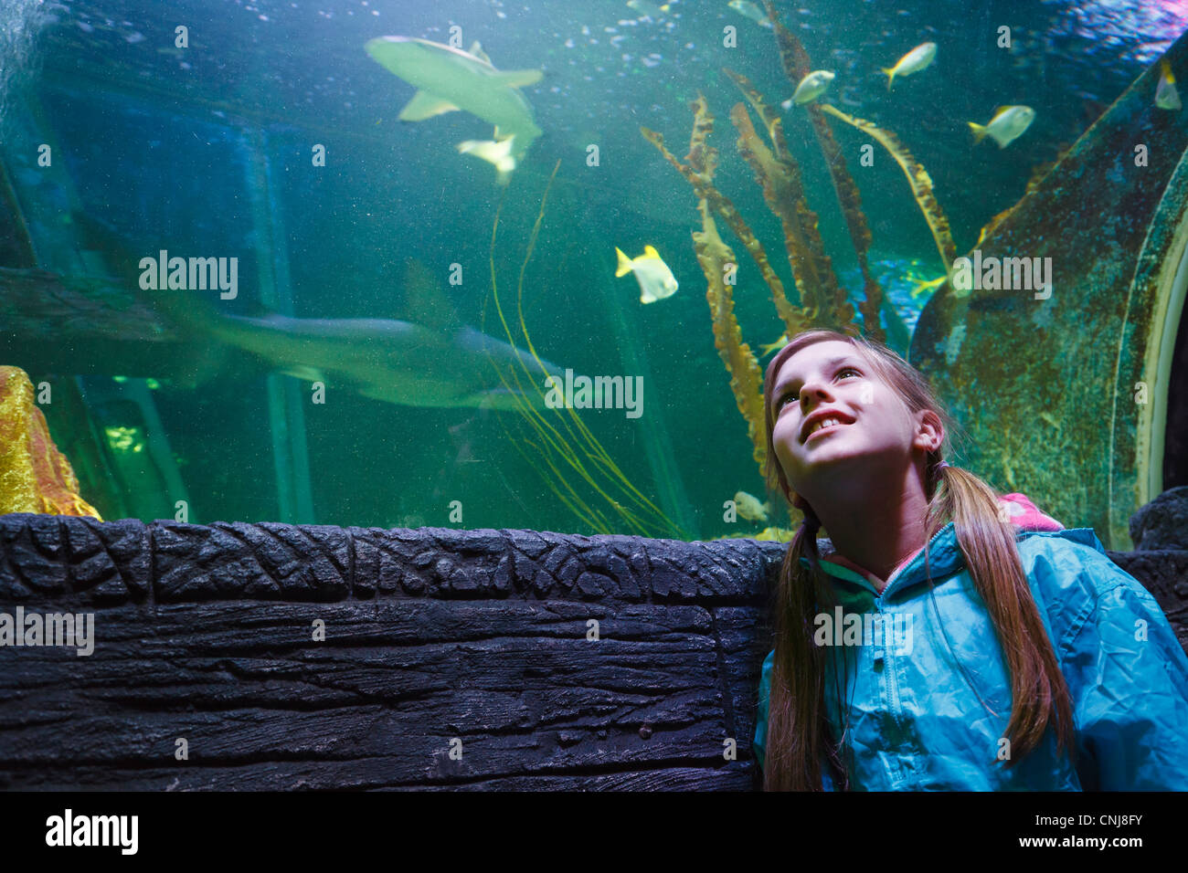 Mädchen auf der Suche auf die Fische aus dem "Ocean Tunnel" im Sea Life Aquarium, Blackpool. Stockfoto
