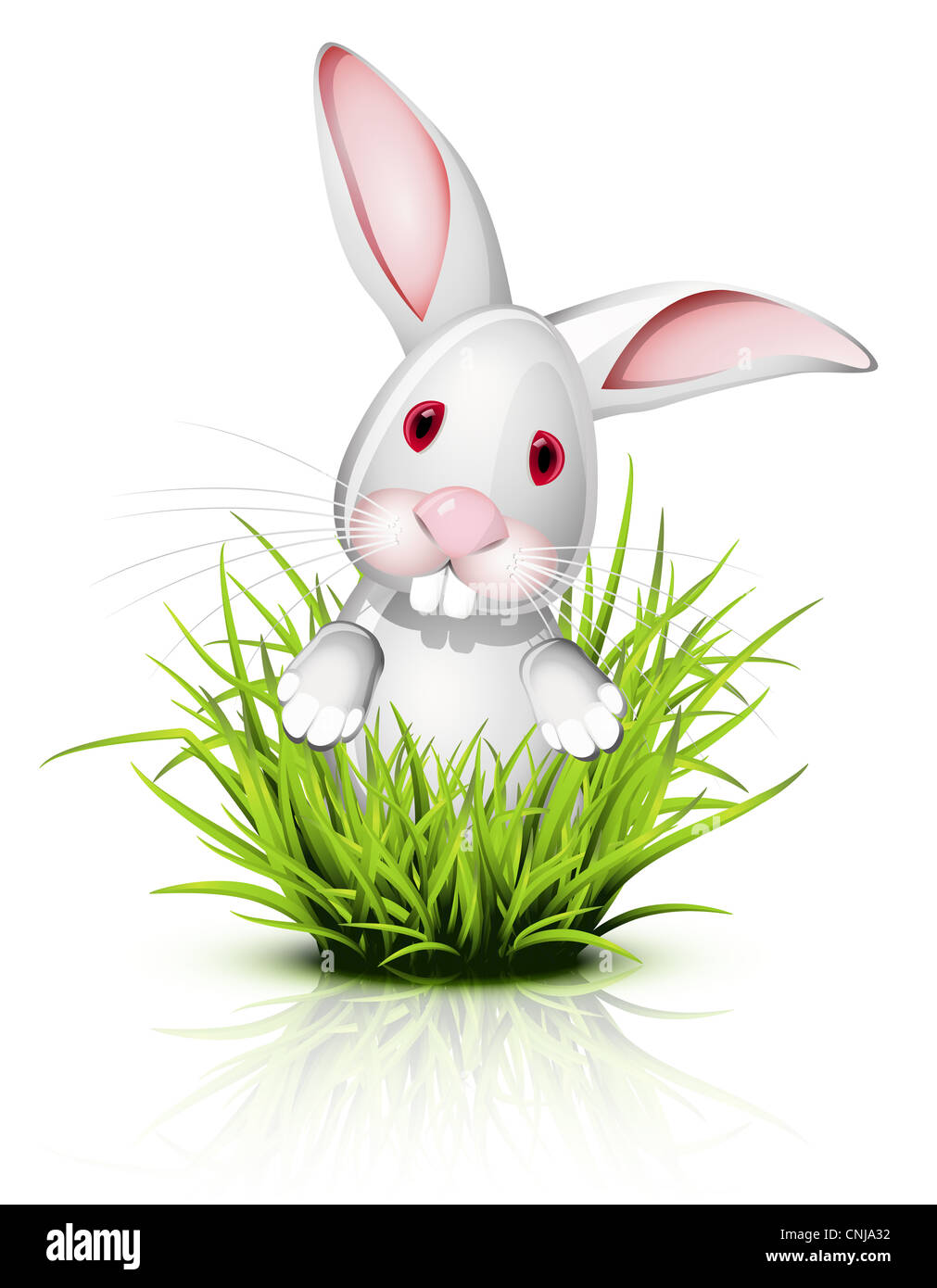 Kleine weiße Kaninchen auf reflektierende Rasen Stockfoto