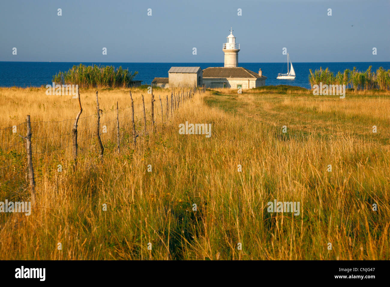 Leuchtturm auf der Insel Unije Stockfoto