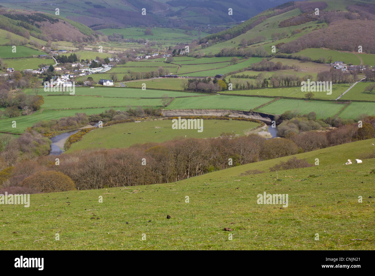 Rheidol Tal und Fluss Stockfoto