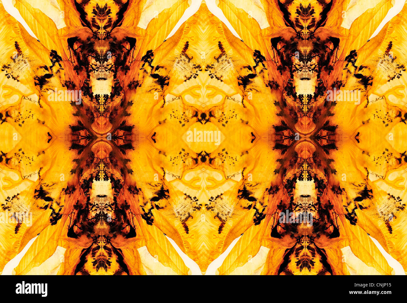 Polierte Scheibe des Lodolite / Landschaft Quarz - symmetrische Muster durch Wiederholung des Bildes Stockfoto