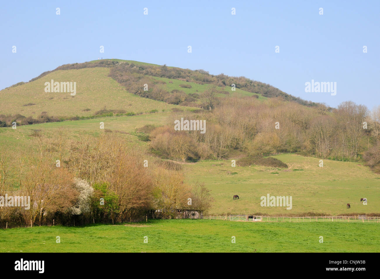 Brent Knoll. Das Somerset Website der Bronzezeit und Eisenzeit Feldlager und eines römischen Tempels. Ausläufer der Mendip Hills. Stockfoto