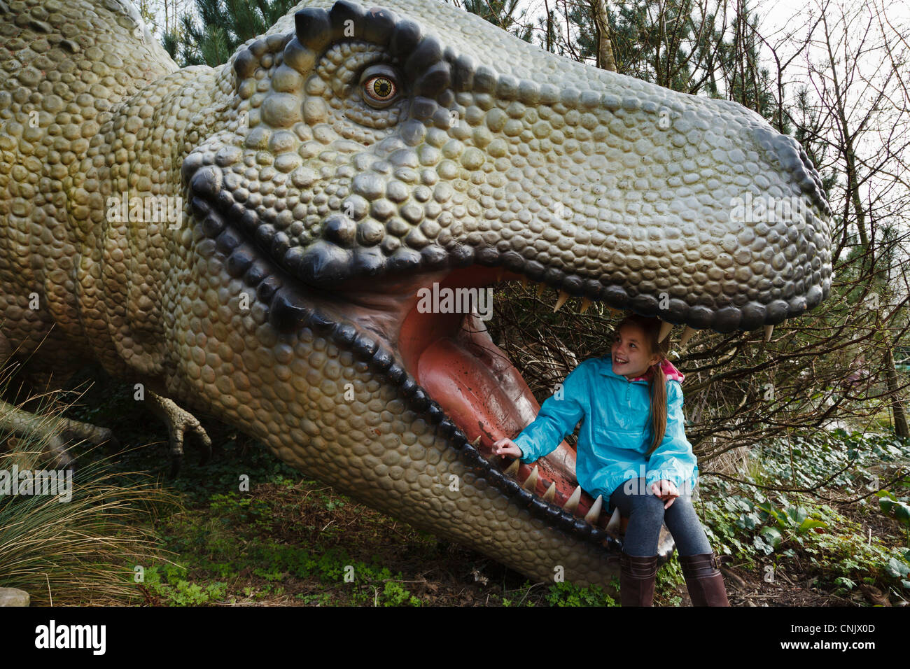 Mädchen sitzen in der Mündung des Tyrannosaurus Rex in den Dinosaur Safari in Blackpool Zoo Stockfoto
