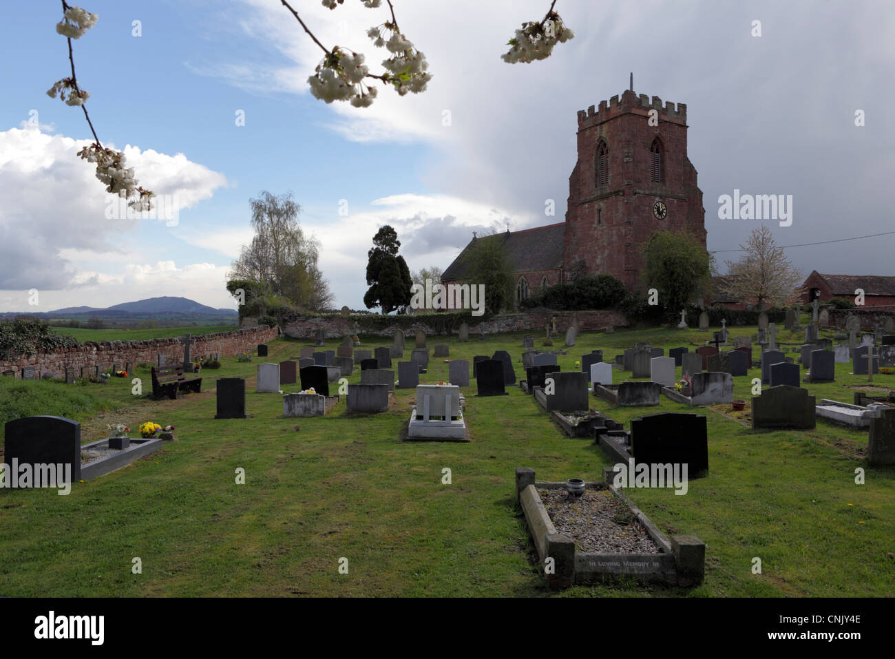 Die All Saints Church im ländlichen Dorf Berrington in Shropshire, England. Stockfoto