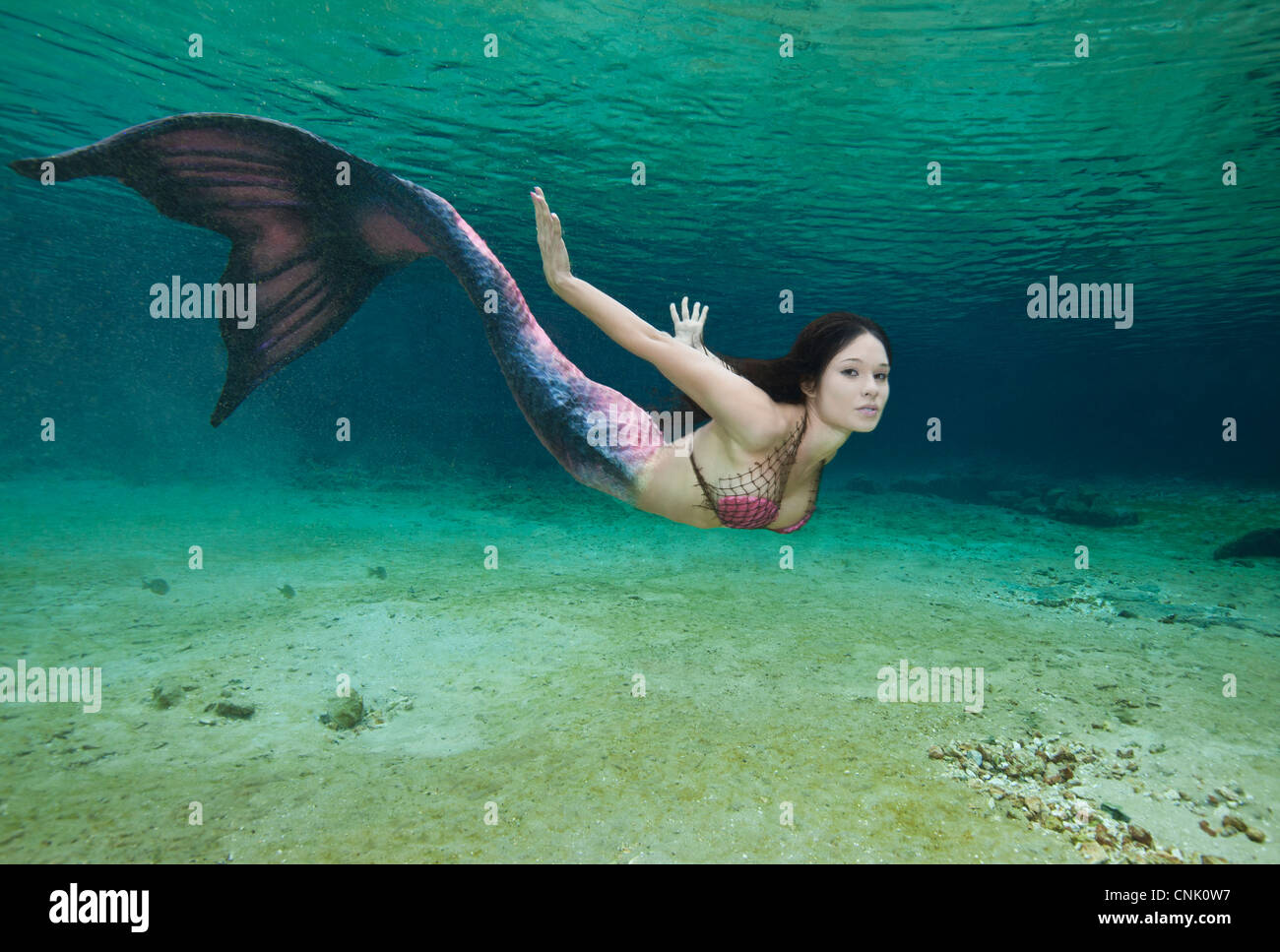 Junge Meerjungfrau Schwimmen unter Wasser in den Regenbogen-Fluss in Florida Stockfoto