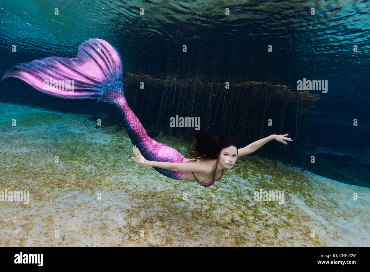 Junge Meerjungfrau Schwimmen unter Wasser in den Regenbogen-Fluss in Florida Stockfoto
