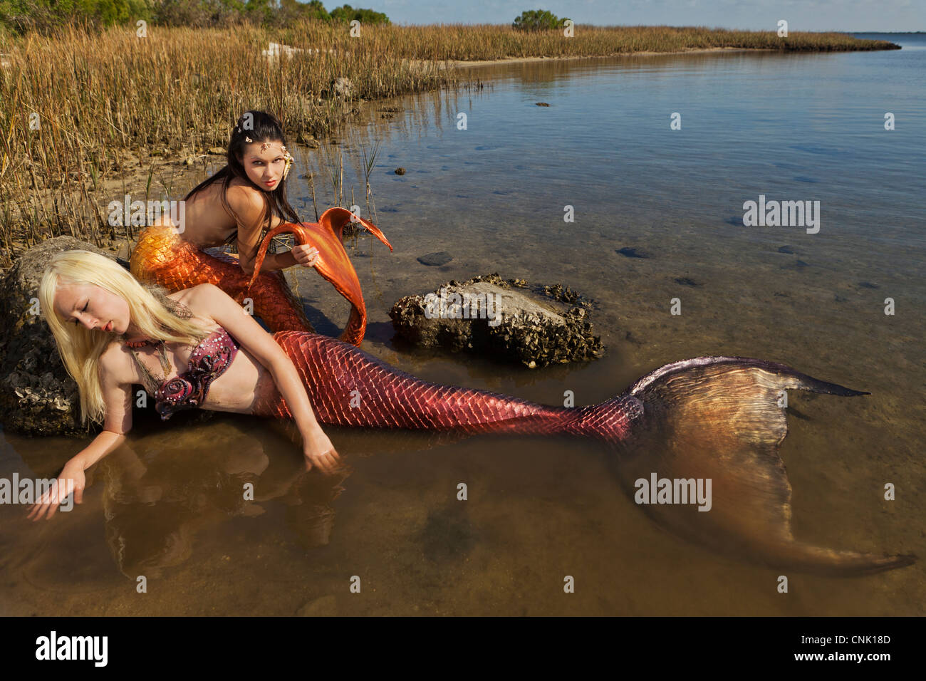 Entspannen in der Sonne am Rand des Wassers in Florida zwei Meerjungfrauen Stockfoto