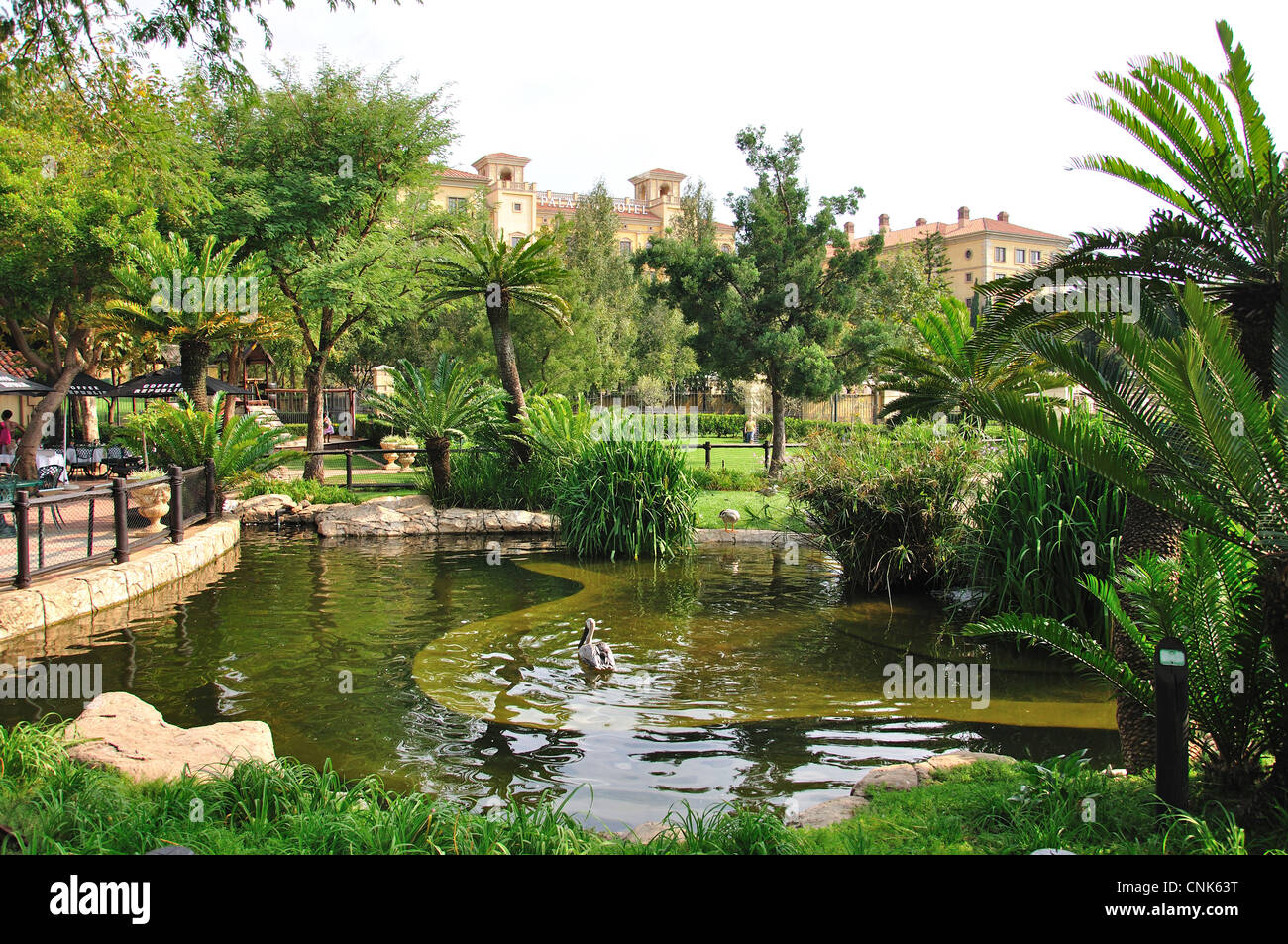 Teich am Montecasino Bird Gardens, Fourways, Sandton, Johannesburg, Provinz Gauteng, Südafrika Stockfoto