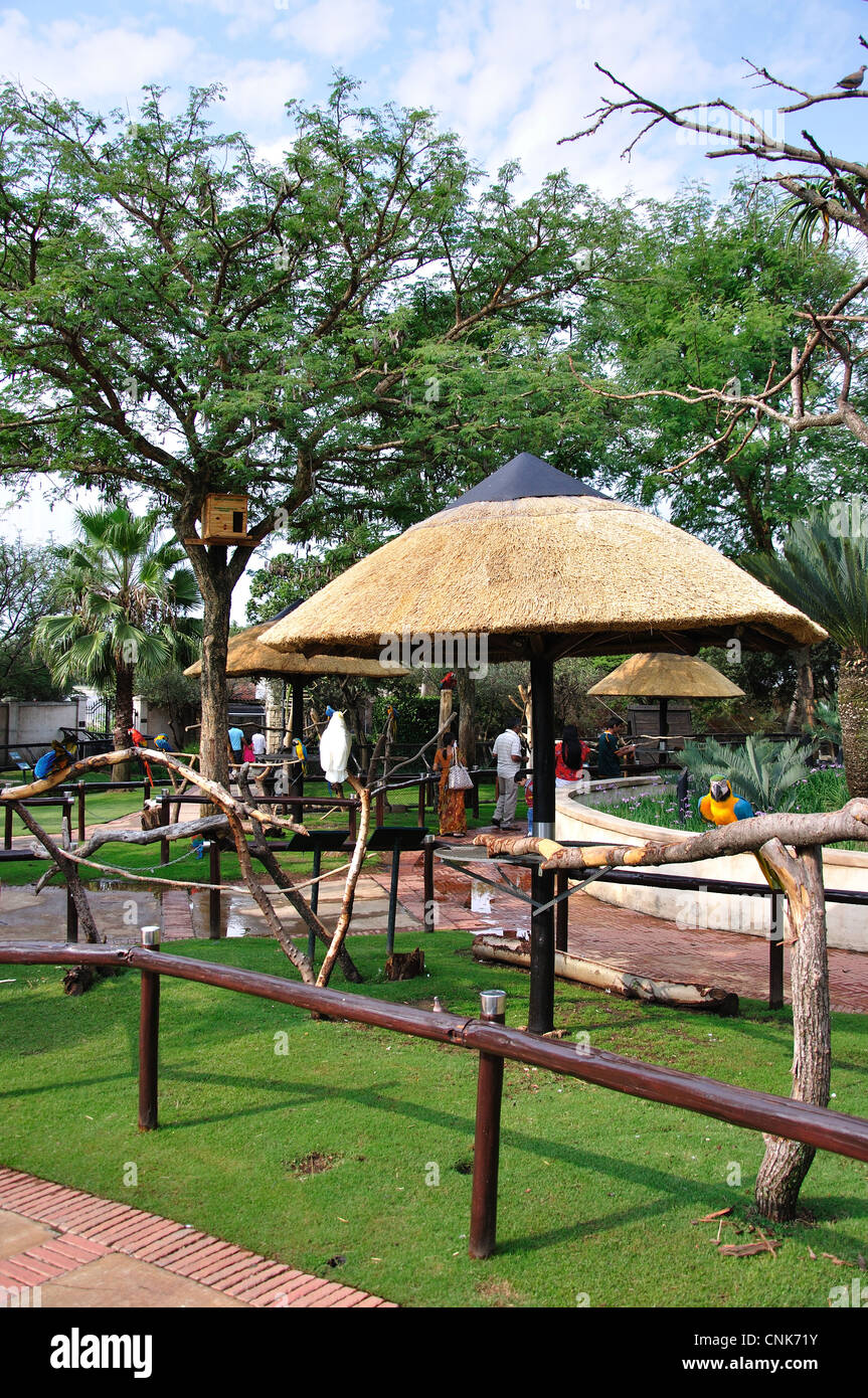Montecasino Bird Gardens, Fourways, Sandton, Johannesburg, Provinz Gauteng, Südafrika Stockfoto