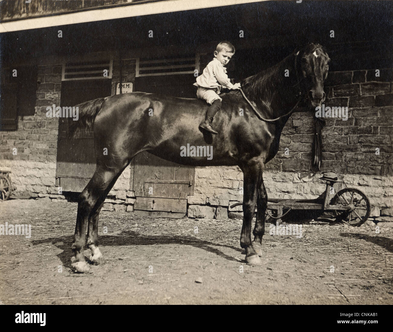 Kleiner Junge reitet riesige schwarzes Pferd im Stall Stockfoto