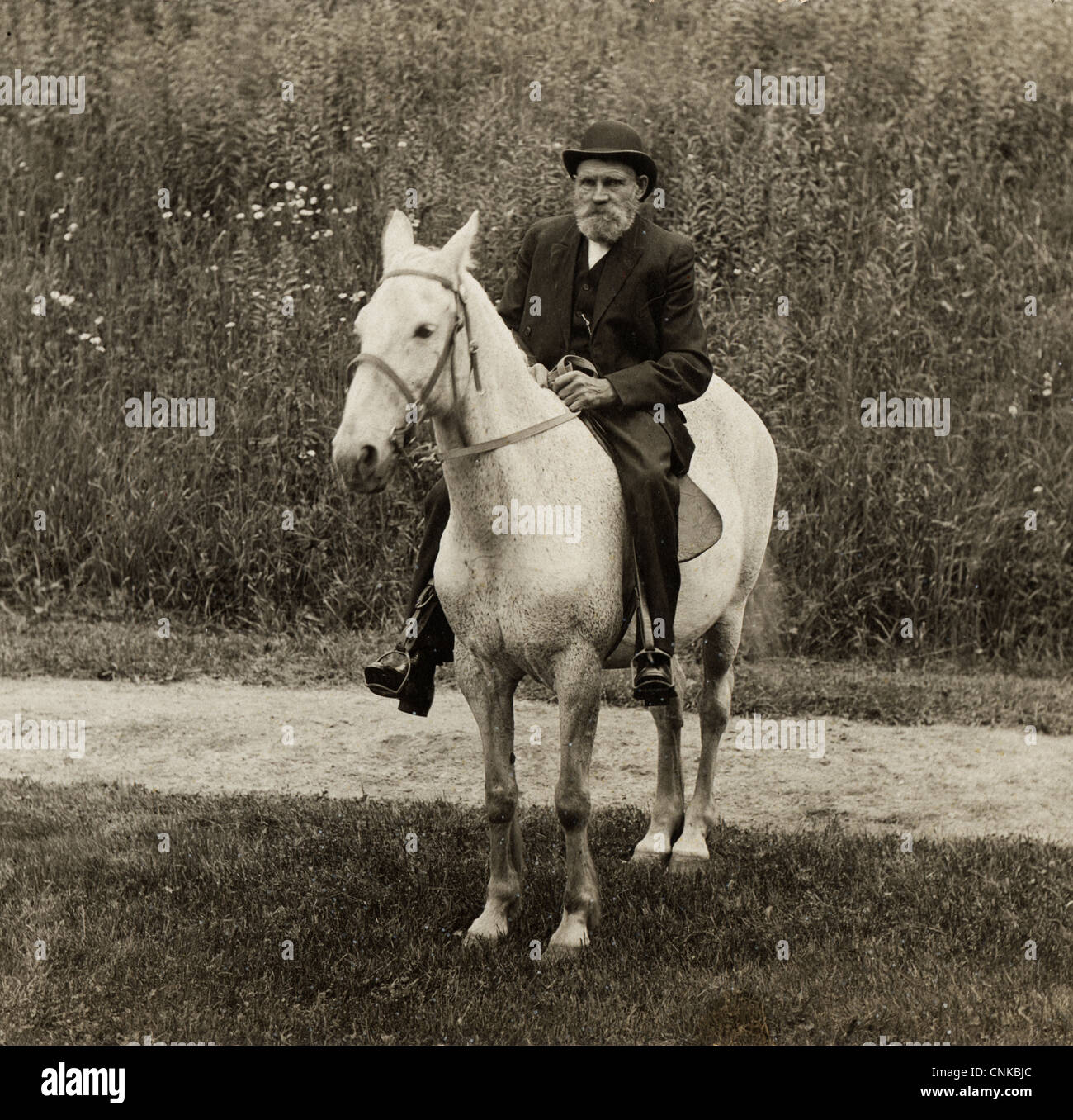 Alter Mann auf einem gesprenkelten weißen Pferd Stockfoto