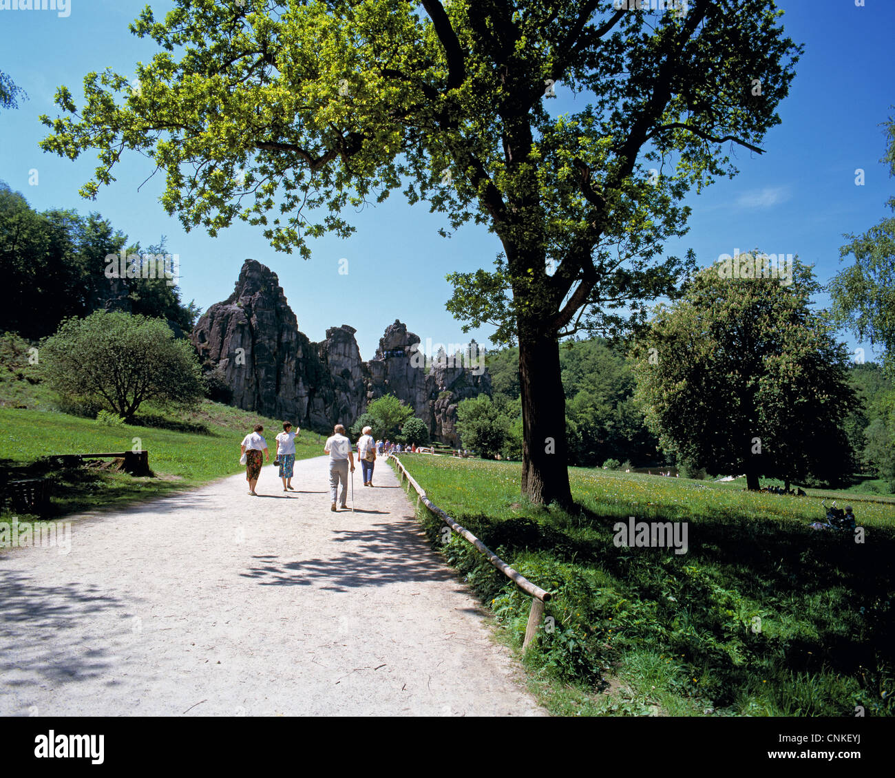 Naturschutzgebiet teutoburger wald eggegebirge Fotos und Bildmaterial