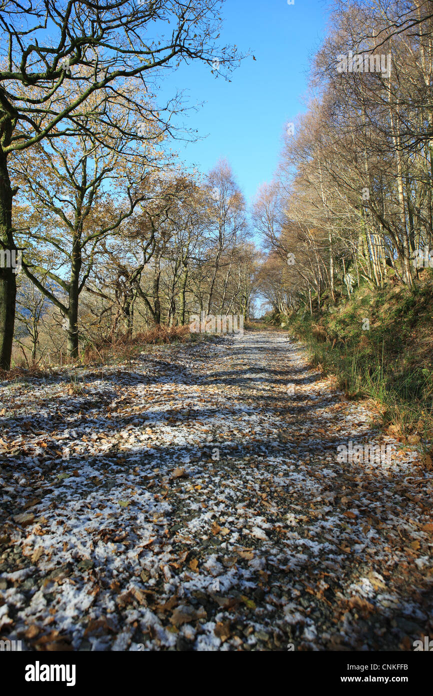 West Highland Way Weg zwischen Rowardennan und Inversnaid am Ostufer des Loch Lomond Stockfoto