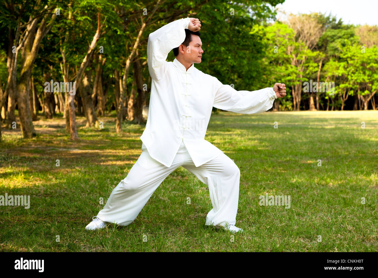 Mann und Kung-Fu-position Stockfoto