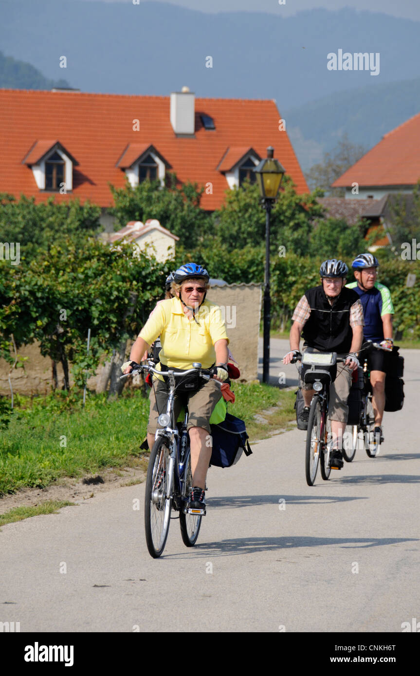 Eine Gruppe von Senioren, die mit dem Fahrrad unterwegs sind, in einem Radurlaub im Weinbaugebiet in Niederösterreich. Stockfoto