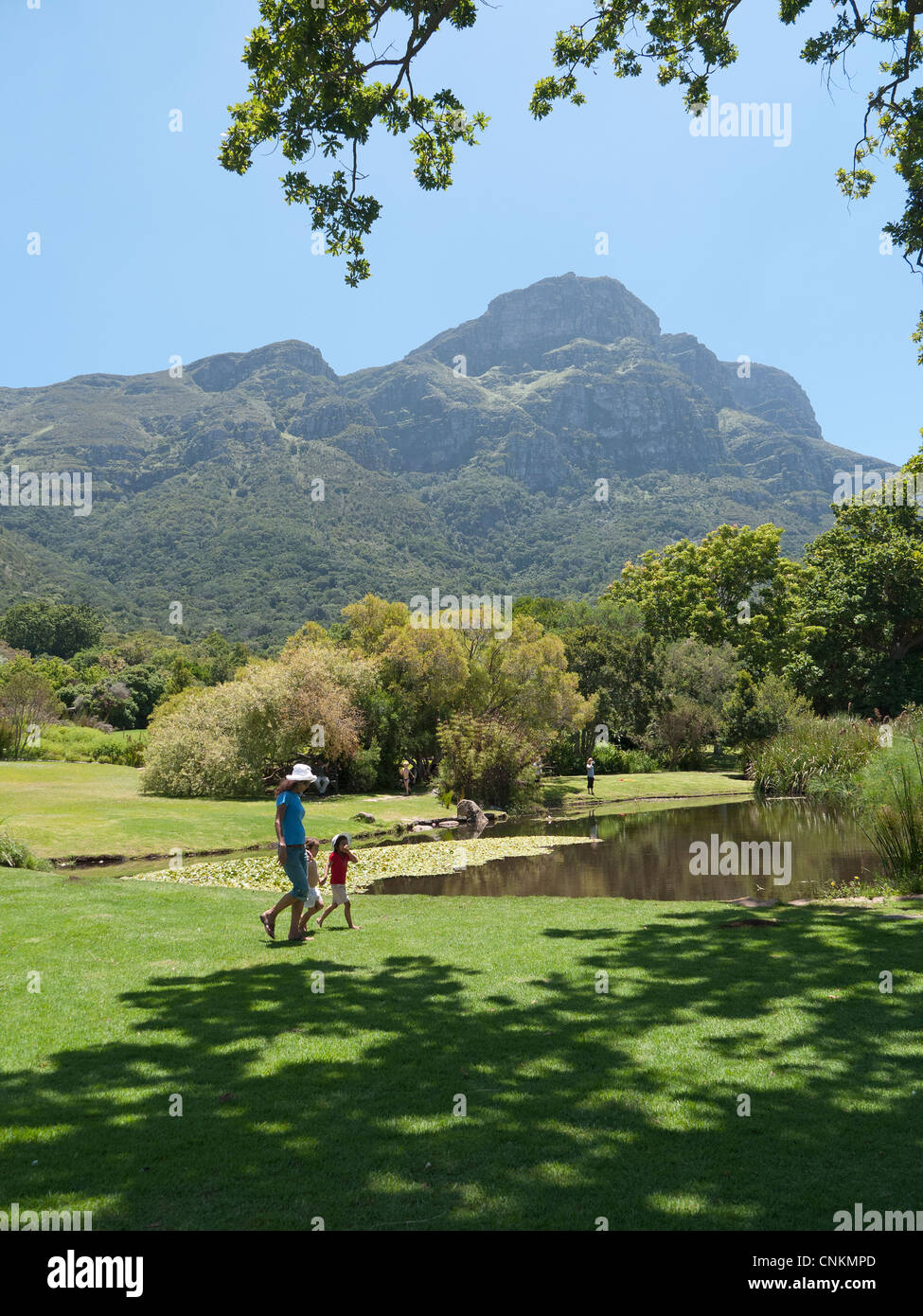 Kirstenbosch National Botanical Garden Cape Town-Südafrika Stockfoto