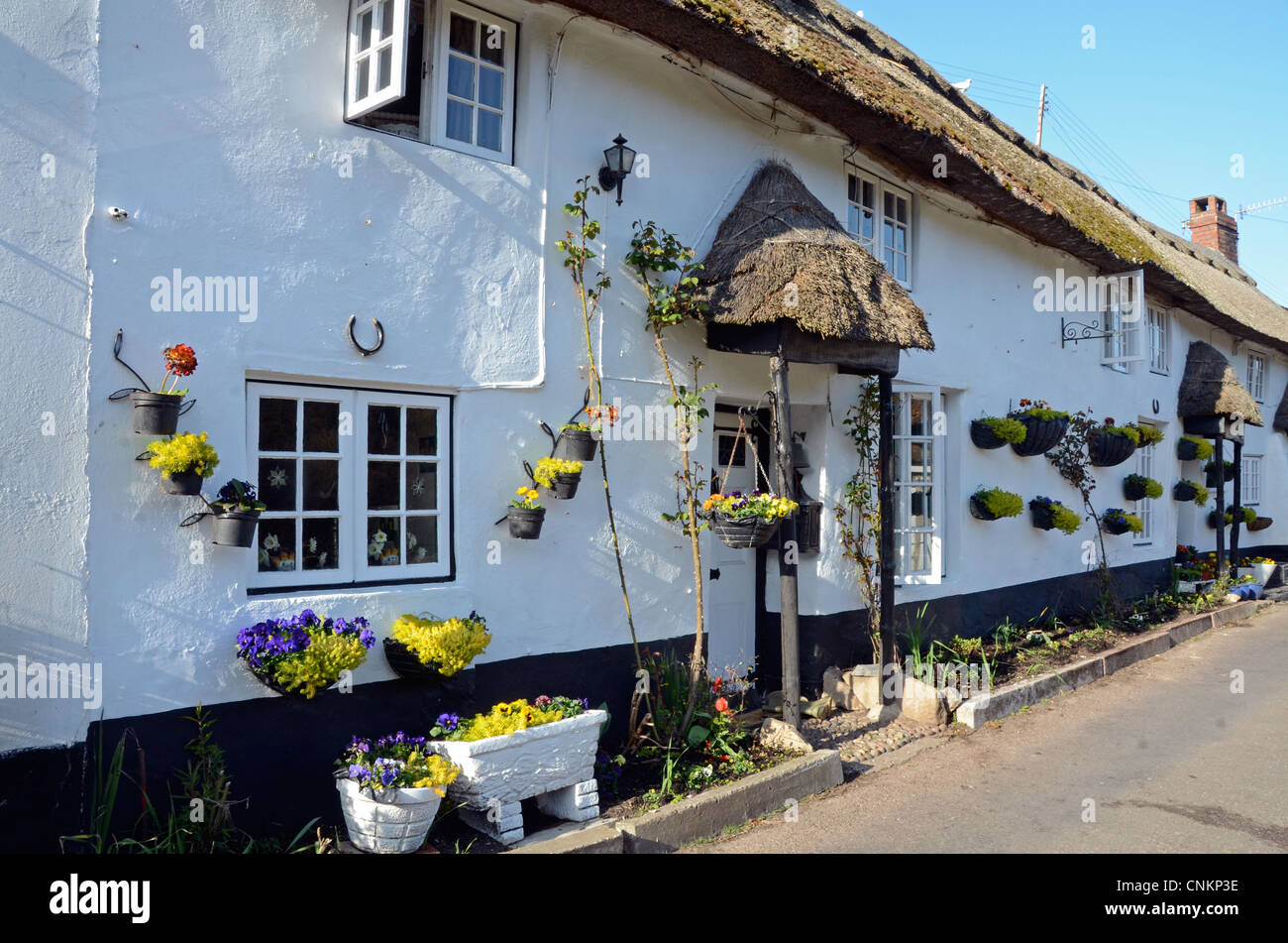 Auf dem Land bei Branscombe, Devon, England Stockfoto