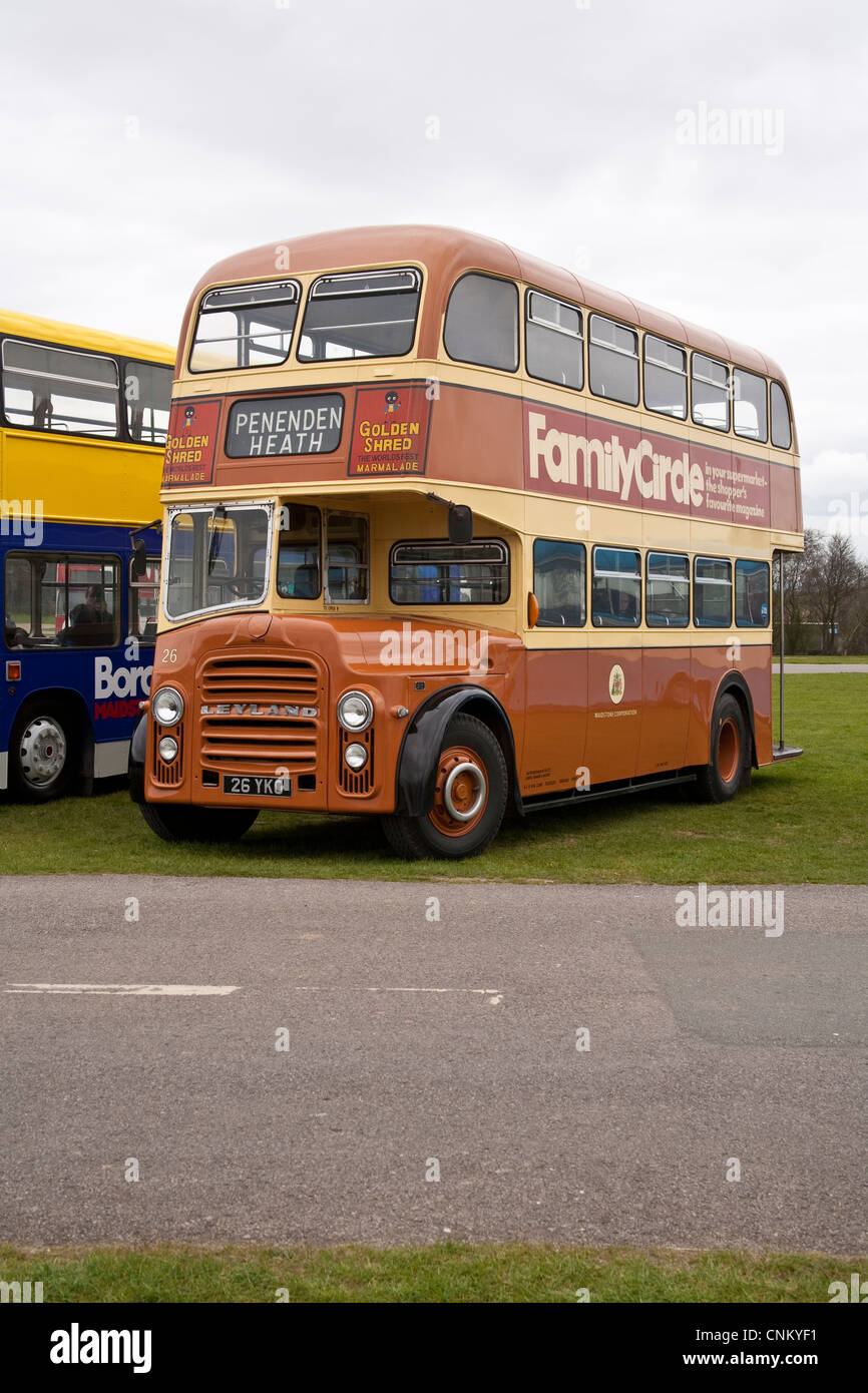 Maidstone Corporation Leyland PD2 Bus Stockfoto