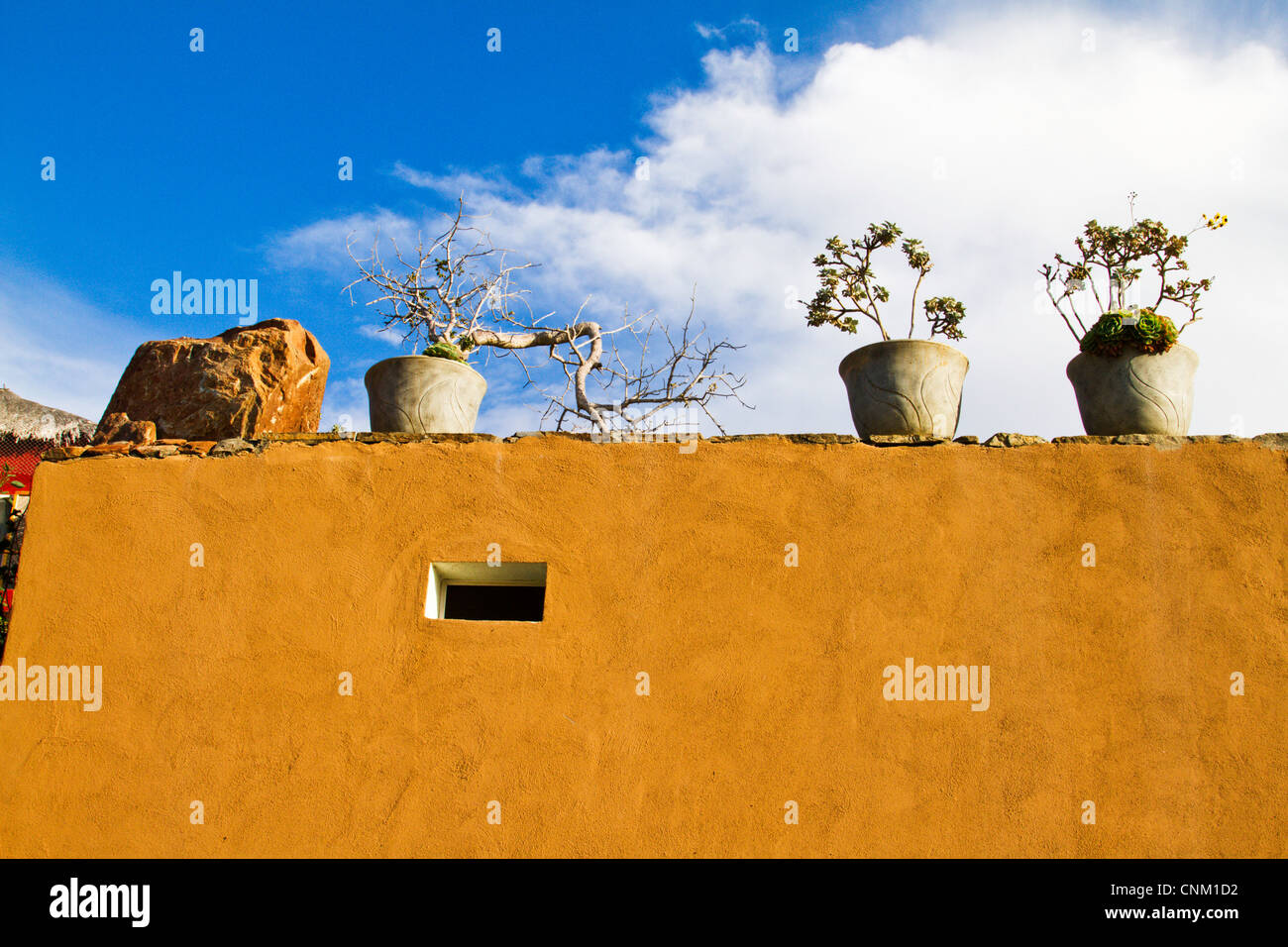 Bunte Wand mit dekorativen Töpfen in Todos Santos, Baja, Mexiko Stockfoto