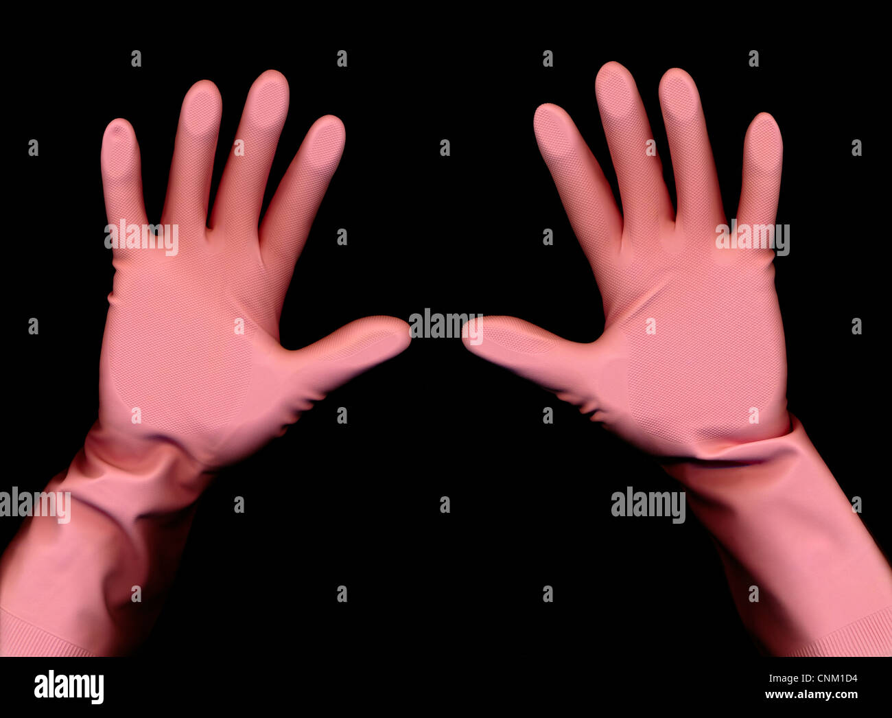 Zwei Hände mit rosafarbenen Gummihandschuhe zur Kapitulation aufgehalten Stockfoto
