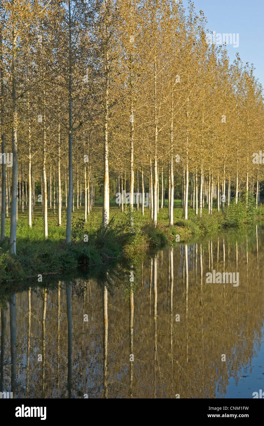 28 eure und loir Fotos und Bildmaterial in hoher Auflösung Alamy