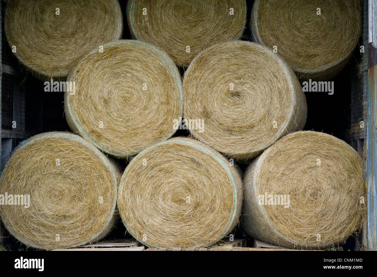 Heuballen gestapelt in einer Scheune Stockfoto