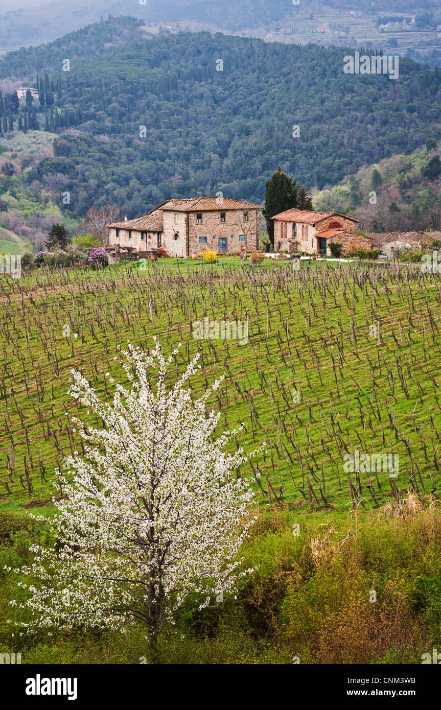 Ackerland und Landschaft in Chianti, Toskana, Italien Stockfoto