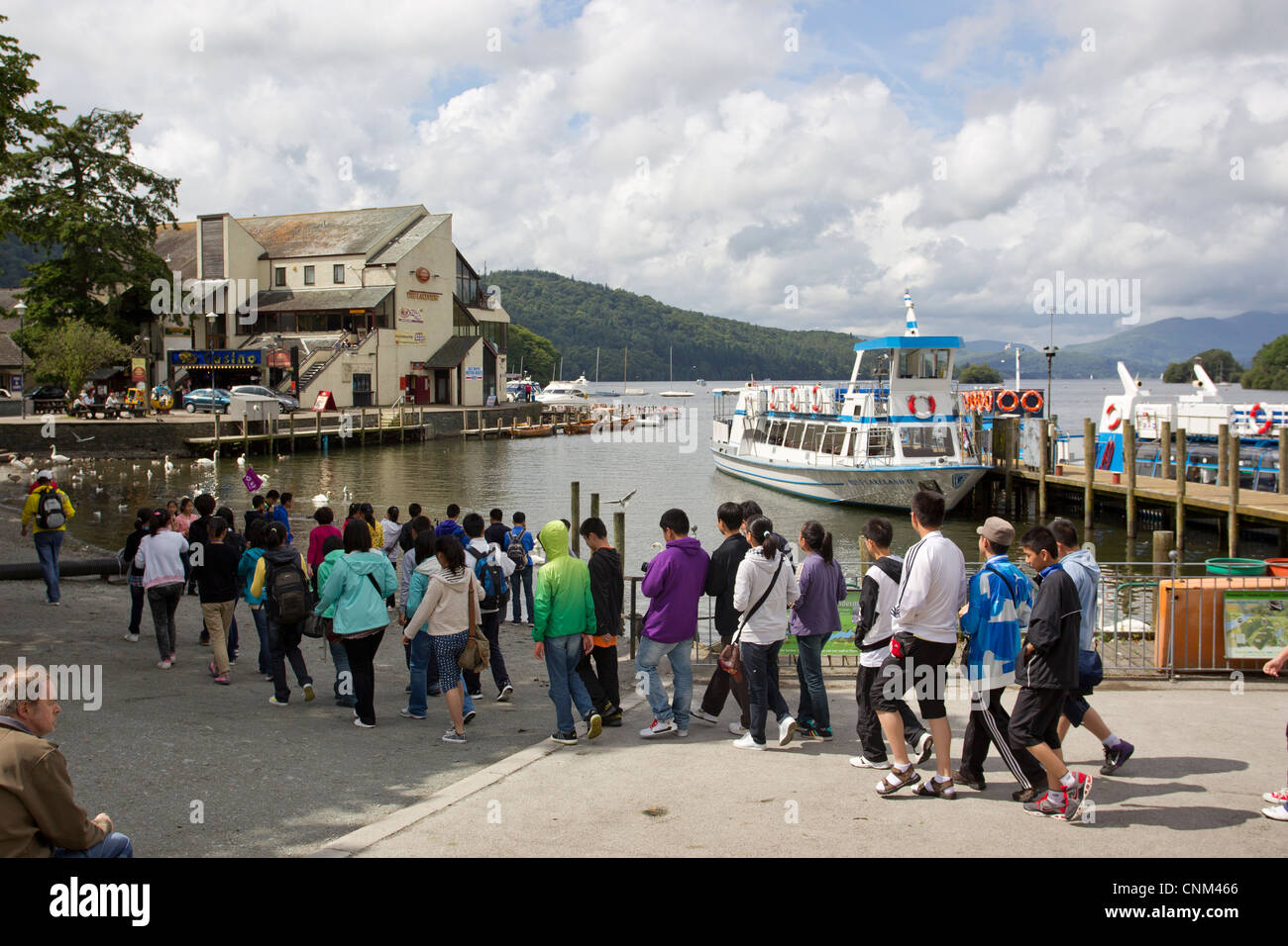 China tour Gruppe von jungen Teenagern die digitalen Fotos von Schwänen und füttern in Bowness Bay am Lake Windermere Stockfoto