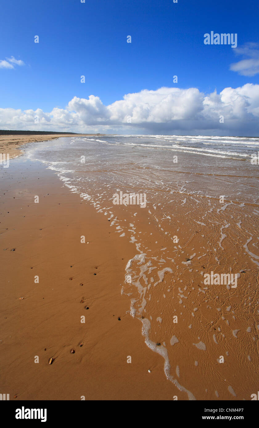 Sandy Küstenlinie bei Holkham Bay, Holkham, Norfolk, England, UK. Stockfoto