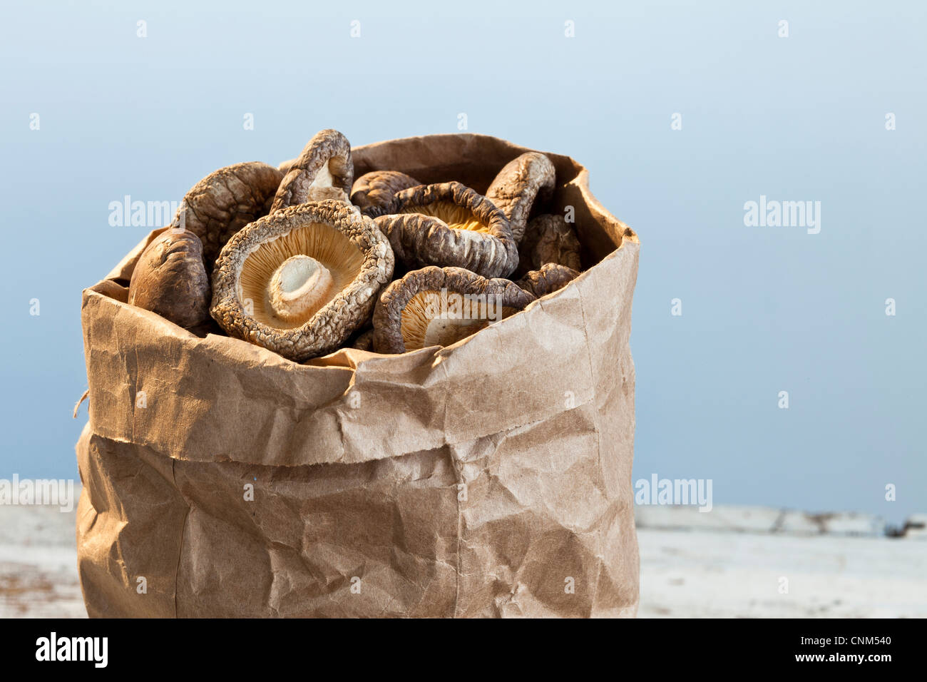 Getrocknete Shiitake-Pilzen in einer braunen Papiertüte Stockfoto