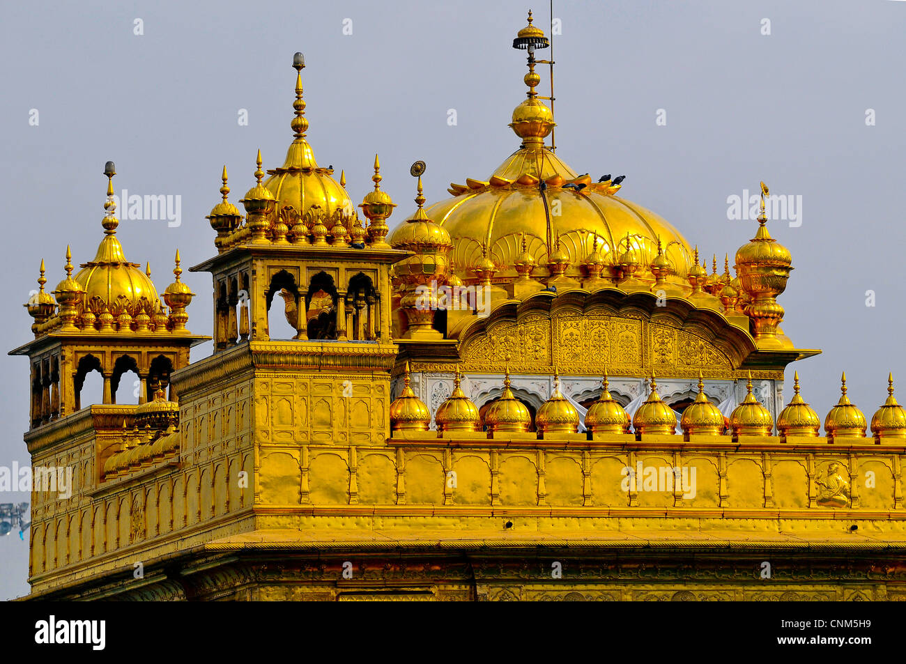 Asien Indien Punjab Amritsar Golden Tempel oder Hari Mandir Stockfoto