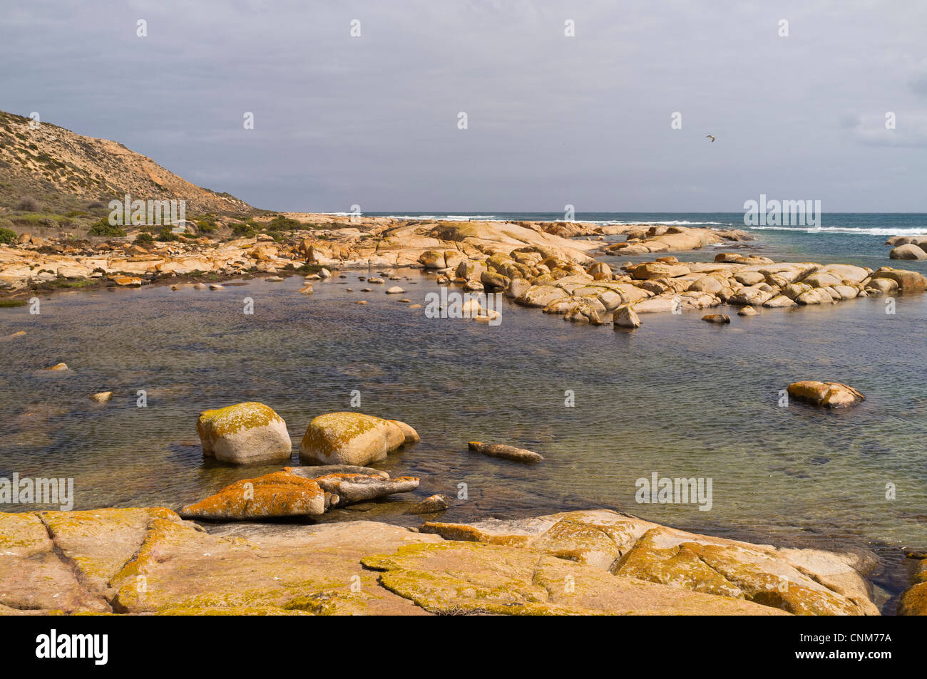 Die Granite bei Westall Bucht an der Großen Australischen Bucht in der Nähe von Streaky Bay an der Westküste der Eyre Peninsula in Südaustralien Stockfoto