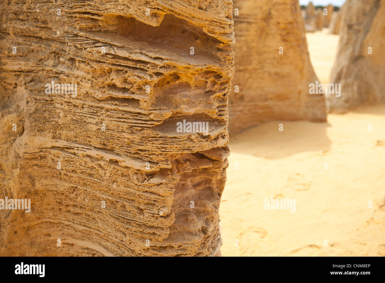 Nahaufnahme der Kalkstein Formation an die Pinnacles Desert auf der Indian Ocean Drive, Westaustralien. Stockfoto