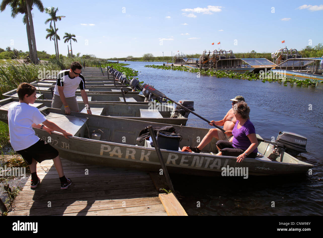 Fort Ft. Lauderdale Florida, Everglades Wildlife Management Area, Water Conservation Area 3A, Holiday Park, Sawgrass, Cladium jamaicense, Nuphar advena, Spat Stockfoto