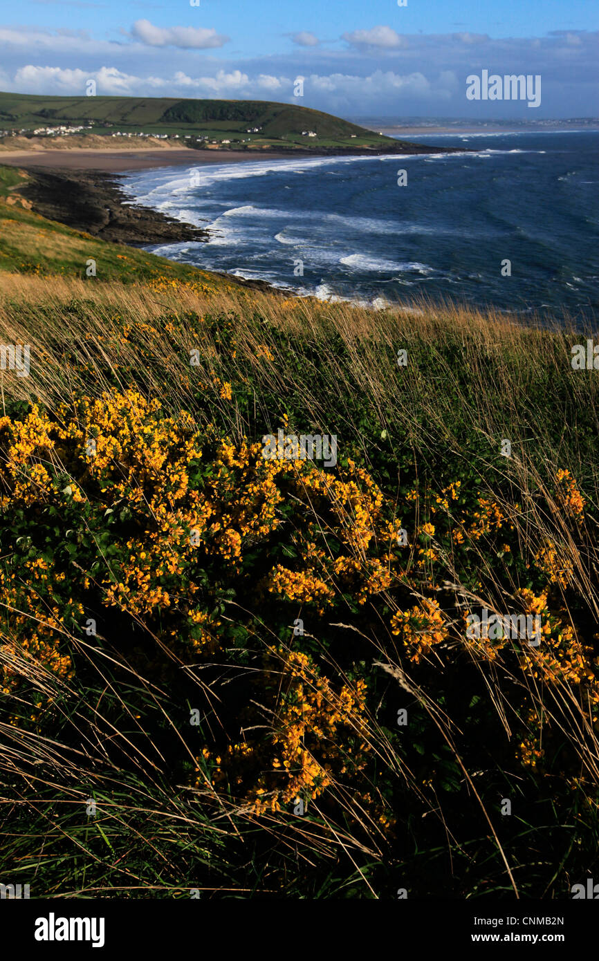 Blick über Croyde Bay von Baggy Point, north Devon, England, Vereinigtes Königreich, Europa Stockfoto