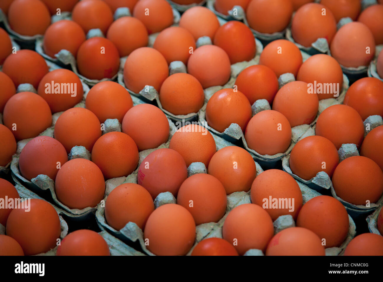 Eiern zum Verkauf auf dem Markt der Bastille in Paris Stockfoto