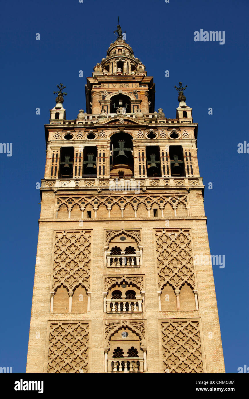 Giralda, Sevilla Kathedrale Glockenturm, ehemals ein Minarett, UNESCO-Weltkulturerbe, Sevilla, Andalusien, Spanien, Europa Stockfoto