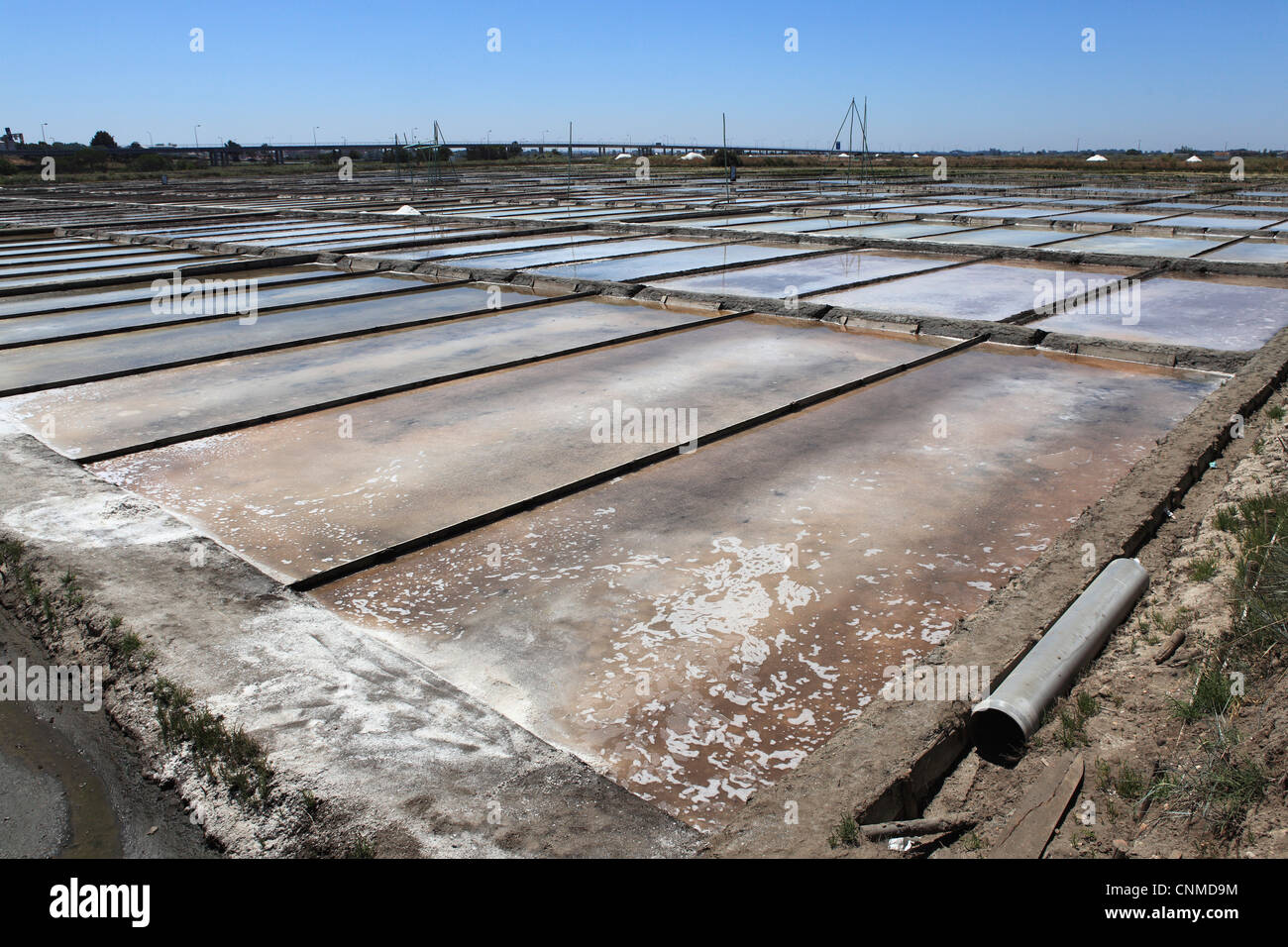 Salz wird durch Verdampfung unter der Sonne in den Salinen von Beira Litoral, Aveiro, Portugal, Europa produziert. Stockfoto