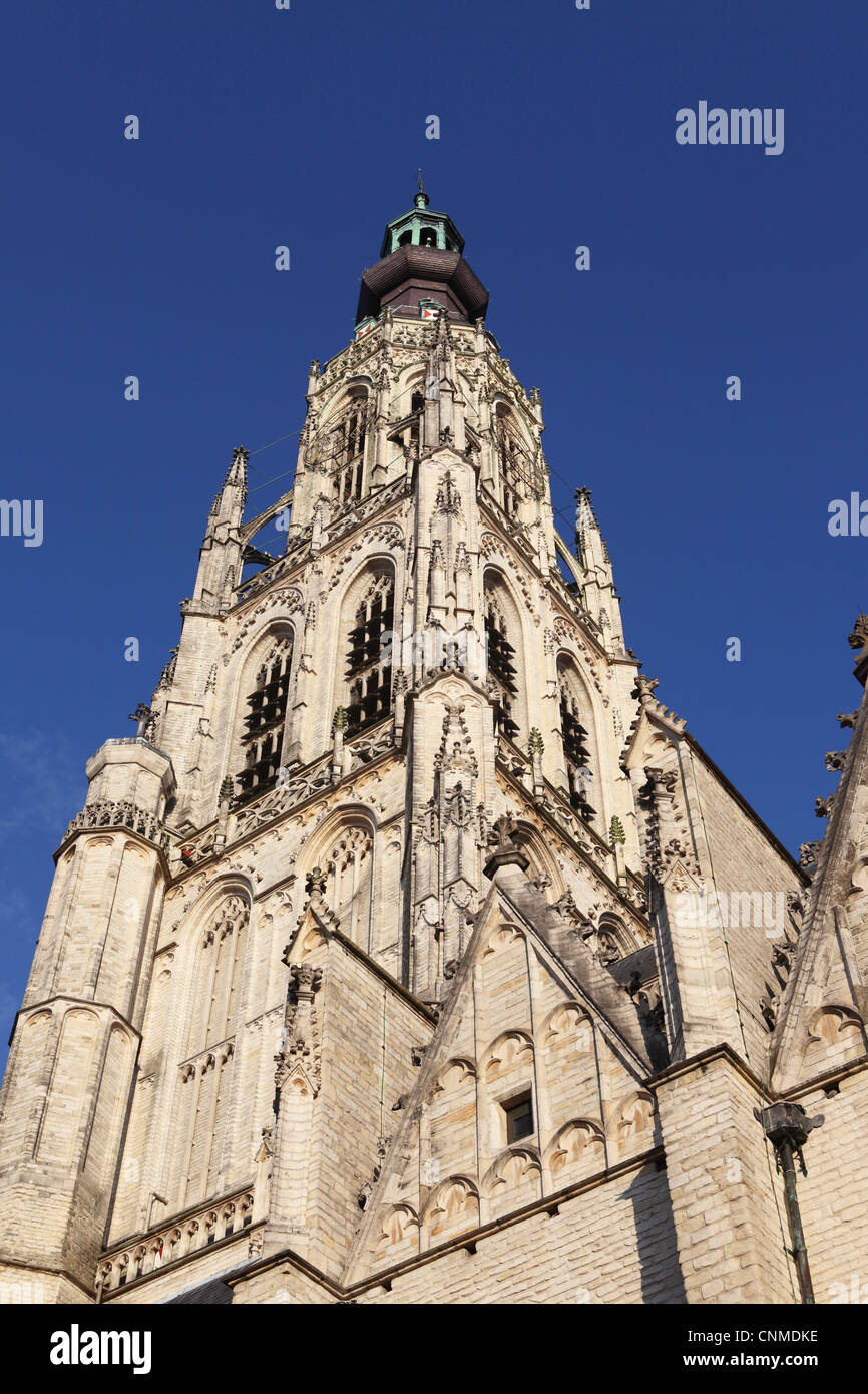 Turm der späte gotische Grote Kerk (Onze-Lieve-Vrouwe-Kerk) (Liebfrauenkirche) in Breda, Noord-Brabant, Niederlande, Europa Stockfoto