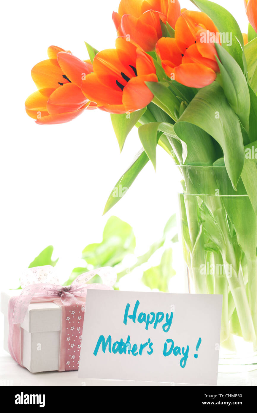 Frische Tulpe mit Geschenkkarte, Muttertag. Stockfoto