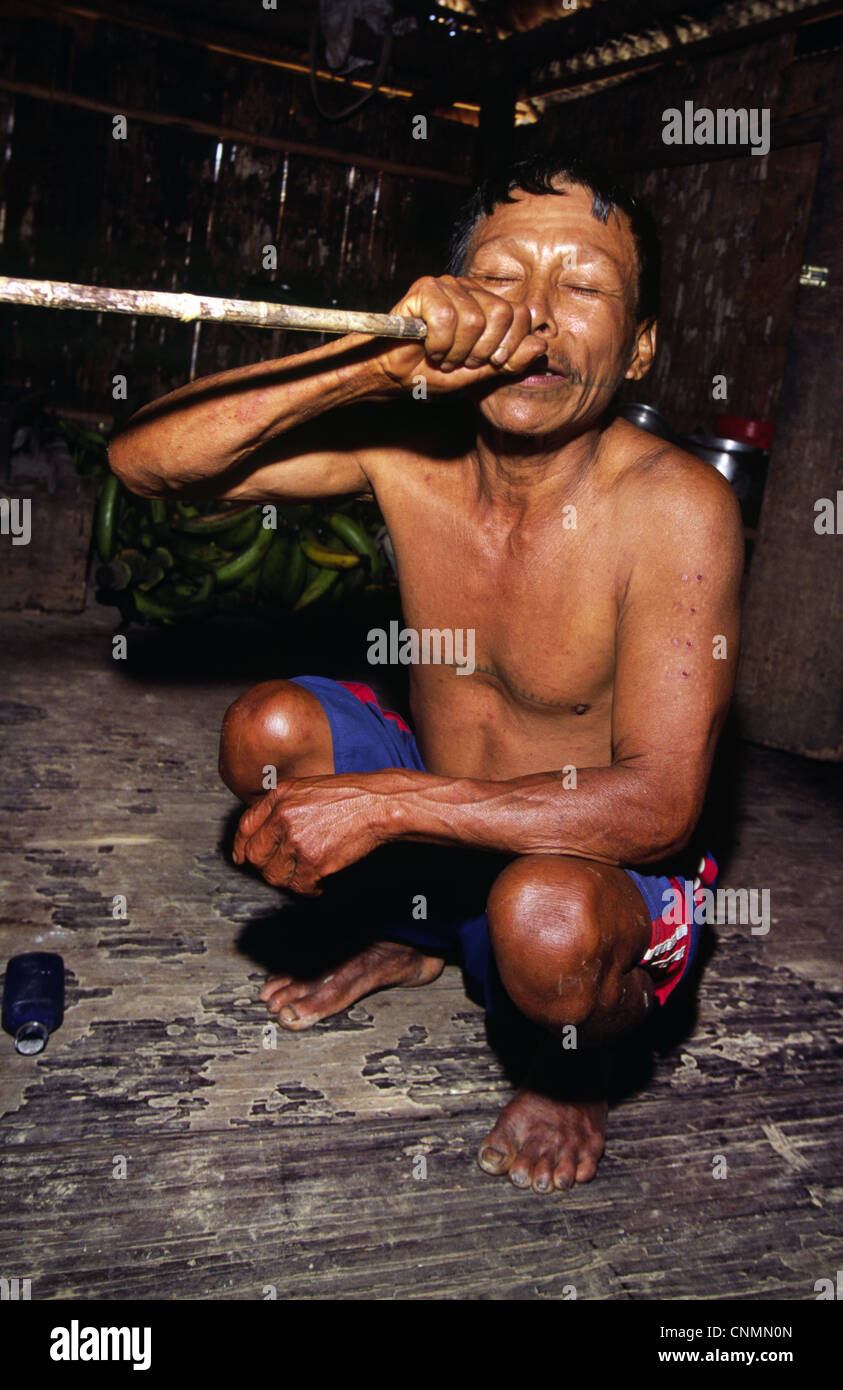 Matsés Inder mit Nu-Nu Schnupftabak. Chobayacu Fluss, Provinz Loreto, Peru. Stockfoto