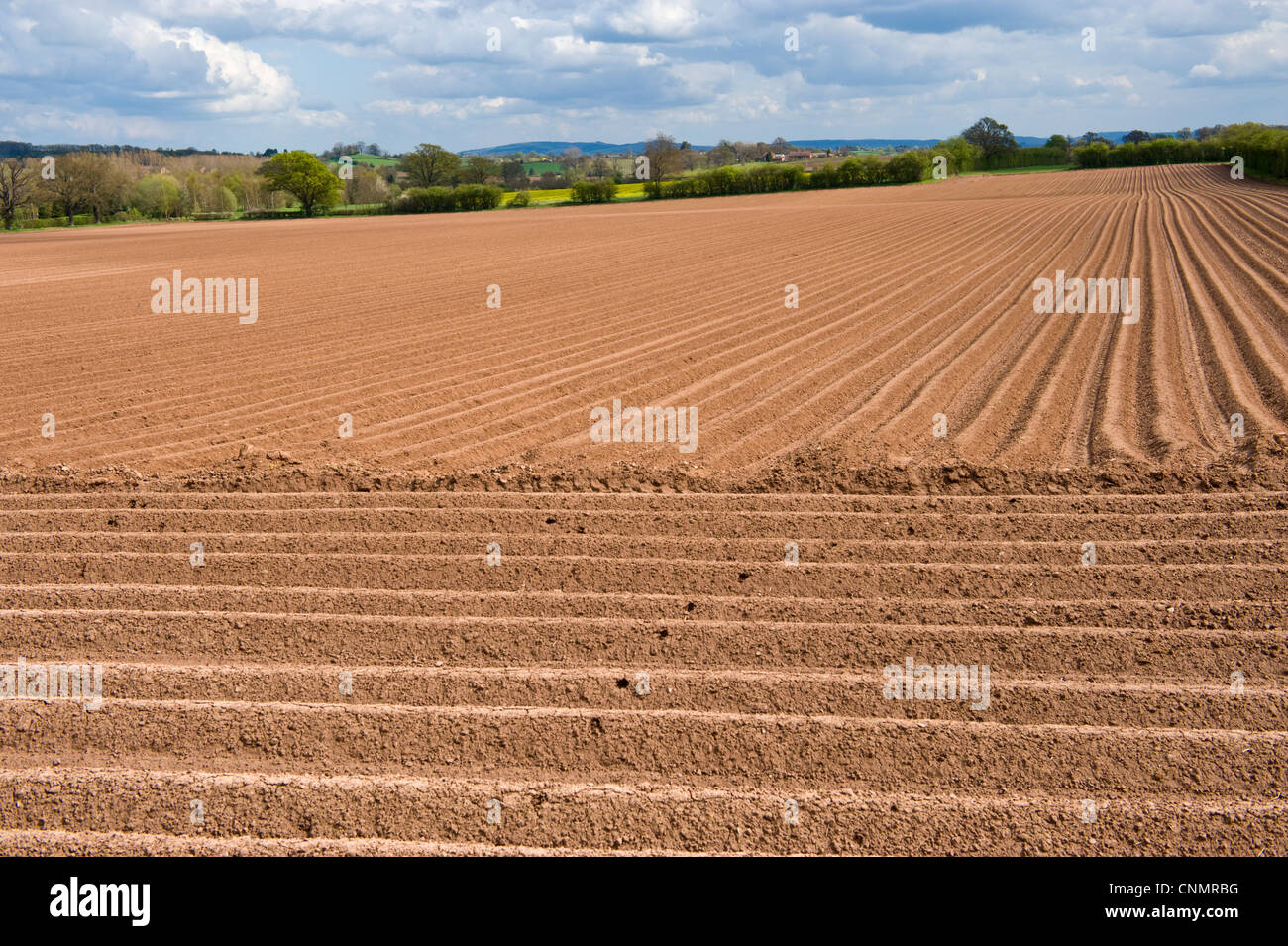 englische Landschaft Blick über Acker auf Ackerland in der Nähe von Credenhill Herefordshire England UK Stockfoto