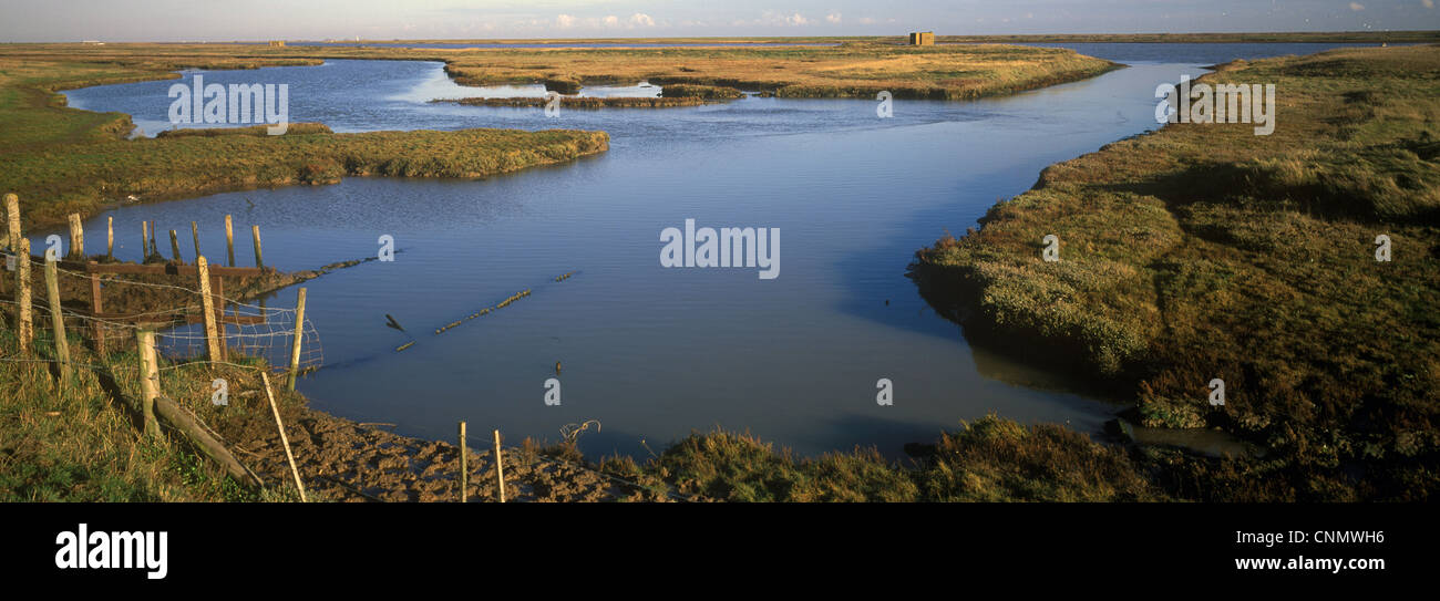 Flussmündungen Salzwiesen Salzwiesen bei Simpsons Marschen - Suffolk Wildlife Trust Stockfoto