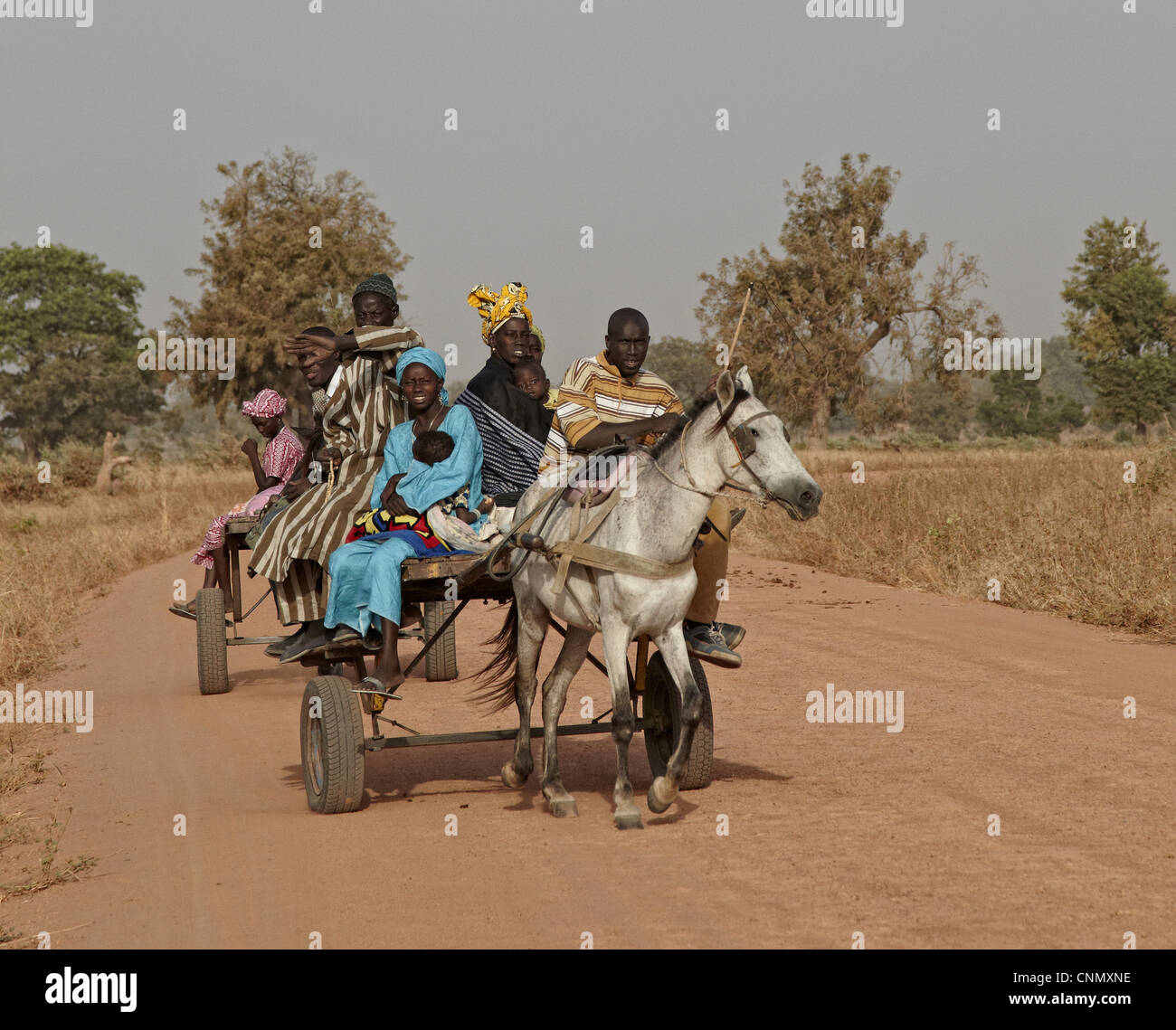 Senegalesischen Familie Reitpferd zog Warenkorb zum nahe gelegenen Markt, in der Nähe von Toubacouta, Senegal, Januar Stockfoto