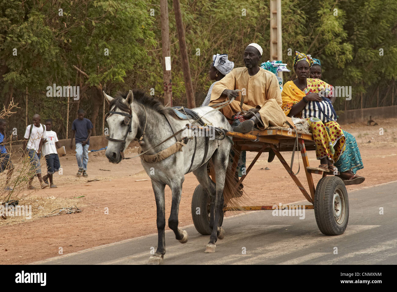Senegalesischen Familie Reitpferd zog Karren, Kaolack, Senegal, Januar Stockfoto