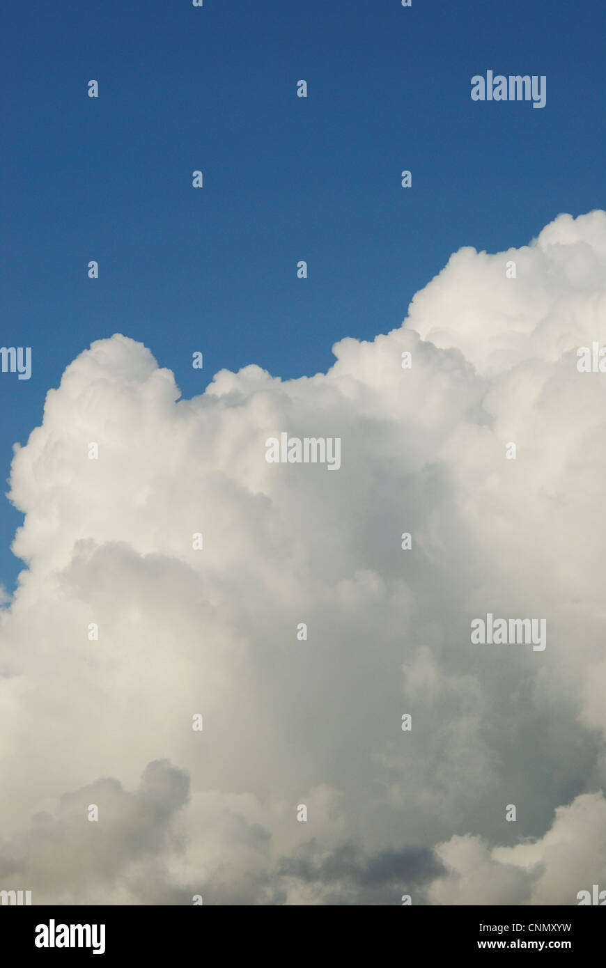 Geschwollene weiße Wolken mit blauem Himmel. Stockfoto