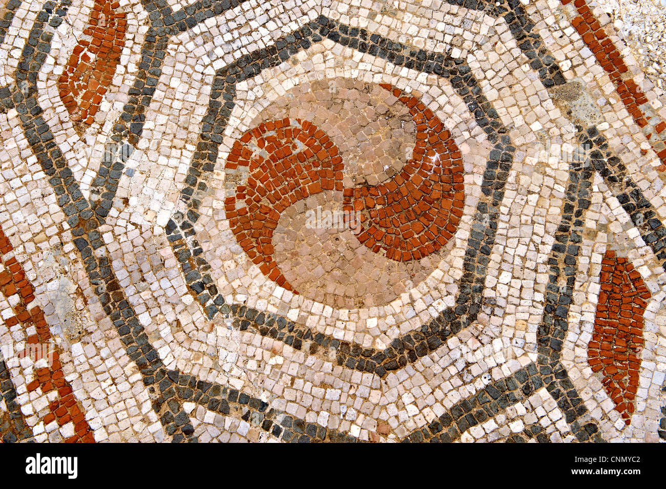 Zweite Jahrhundert römische jüdische Mosaiken aus der Synagoge von Sardes. Sardes archäologische Website, Türkei Stockfoto