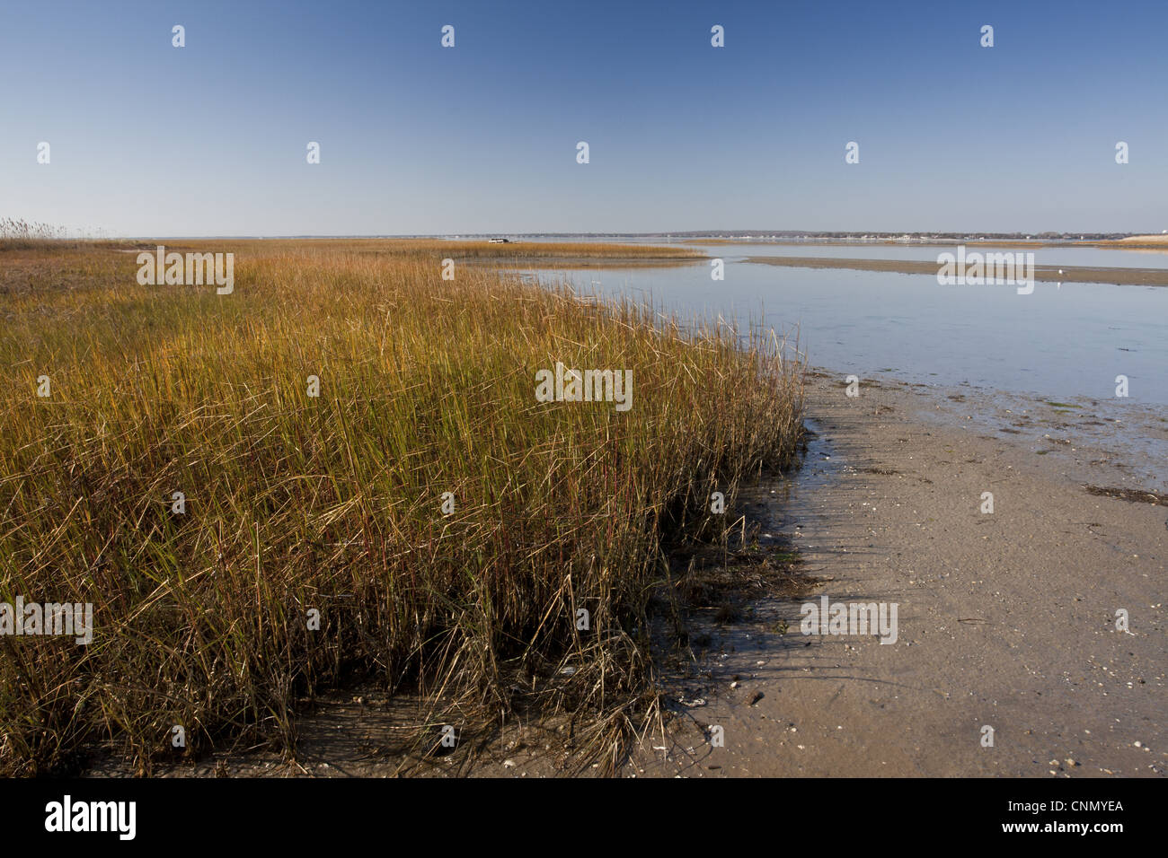 Blick auf Salzwiesen und Wattenmeer Lebensraum, Shinnecock County Park, Hampton Bays, Long Island, New York State, USA, november Stockfoto