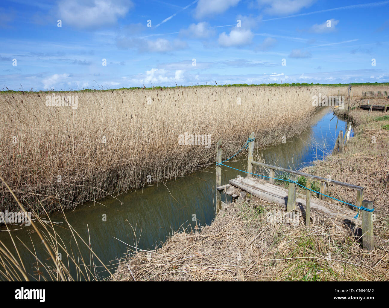 Einen frühen Frühlingstag Bereich um den Cley "North Nofolk'UK Stockfoto